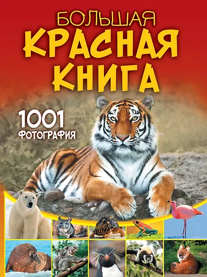 Большая красная книга. 1001 фотография - фото 1