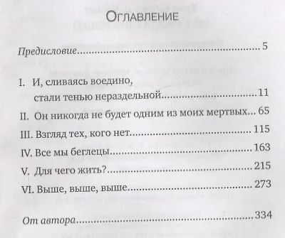 Звук падающих вещей - фото 2