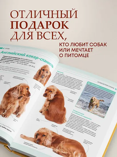 Собаки. Подарочная иллюстрированная энциклопедия (новое оформление) - фото 6