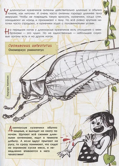 В джунглях не только тигры. Бабочки-стрекозки - фото 7