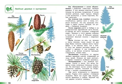 Плешаков. От земли до неба. Атлас-определитель. 1-4 класс /ШкР - фото 7