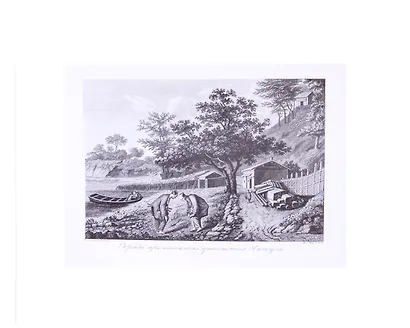 Атлас к путешествию вокруг света капитана Крузенштерна - фото 5