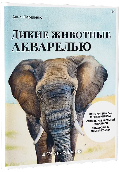 Школа рисования. Дикие животные акварелью - фото 2