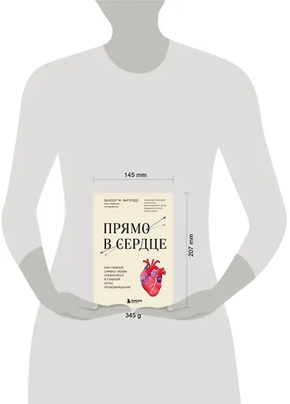 Прямо в сердце. Как главный символ любви превратился в главный орган кровообращения - фото 8