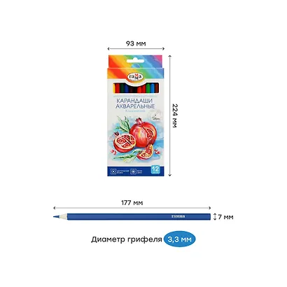 Карандаши цветные 12цв акварельные с кистью "Классические", к/к, Гамма - фото 6