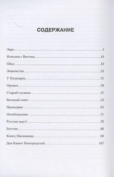 Струги на Неве - фото 2