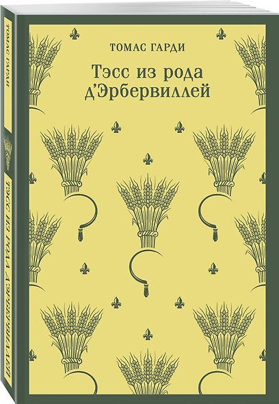 Набор «Женская судьба и общественное осуждение» (комплект из 3-х книг: Госпожа Бовари, Тэсс из рода д’Эрбервиллей, Старый Нью-Йорк) - фото 4