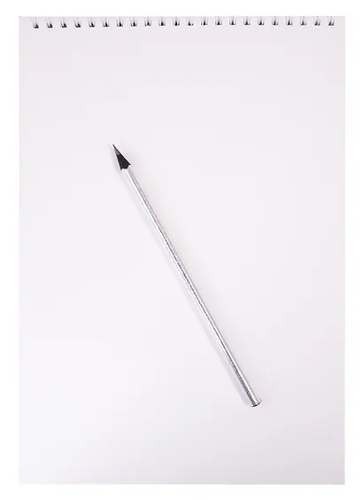Скетчбук А4 20л "Флористика", 200г/м2, тв.обложка, фольга, гребень - фото 3