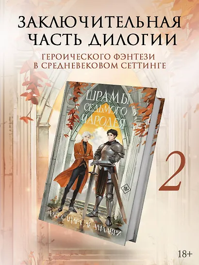 Шрамы седьмого чародея - фото 3
