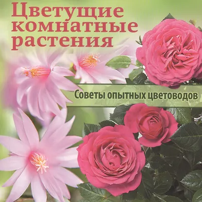 Цветущие комнатные растения. Советы опытных цветоводов - фото 1