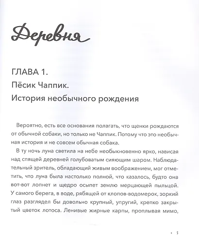 Чаппик на Занзибаре - фото 8