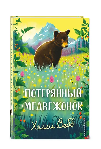 Потерянный медвежонок - фото 3