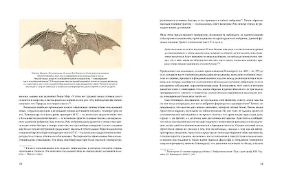Иллюстрированная история орнитологии - фото 9