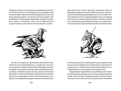 Путь кенгуренка. Поймайте мне колобуса - фото 6