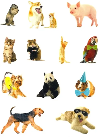 Милые пушистики. Дополни картинку! Внутри 48 фото-наклеек! - фото 3