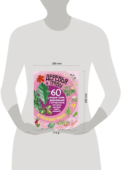 Деревья и травы - фото 3