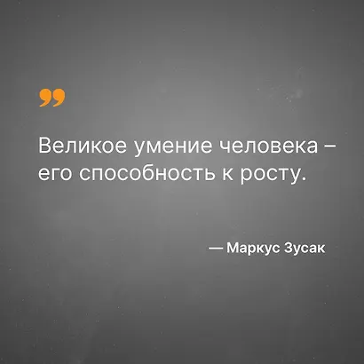 Книжный вор - фото 7