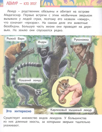 Отчего и почему? Кто это? Удивительные жители нашей планеты - фото 2