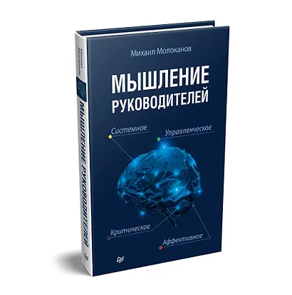 Мышление руководителей: системное, управленческое, критическое, аффективное - фото 2