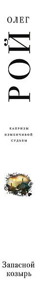 Запасной козырь - фото 5