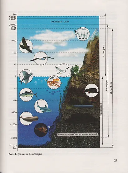 Биология. 10 класс. Базовый уровень. Учебник для учащихся общеобразовательных организаций - фото 6