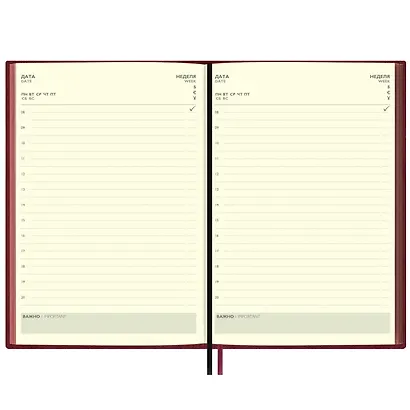 Ежедневник недат. А5+ 160л 175x245 "Шеврет" бордовый, иск.кожа, мягкий переплет, блинт.тиснение, офсет, ляссе. - фото 10