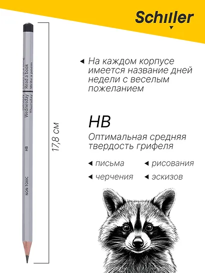 Карандаши чернографитные 12 штук "Week", в ассортименте, Schiller - фото 5