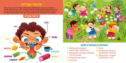 Первые слова малыша. Визуальные словари. Моё тело. Визуальный словарь - фото 6