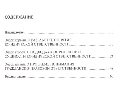 Очерки теории гражданско-правовой ответственности. Уч.пос. - фото 2