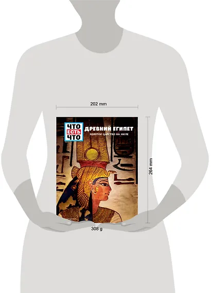 ДРЕВНИЙ ЕГИПЕТ. Золотое царство на Ниле - фото 4