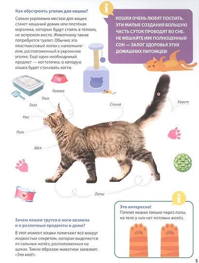 ПЕРВАЯ ДЕТСКАЯ ЭНЦИКЛОПЕДИЯ. ВСЁ О ДОМАШНИХ ПИТОМЦАХ МАЛЫШАМ - фото 4
