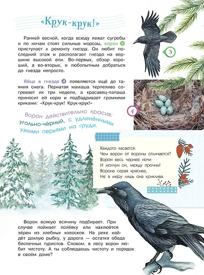 Энциклопедия для мальчиков и девочек. Наша природа - фото 10