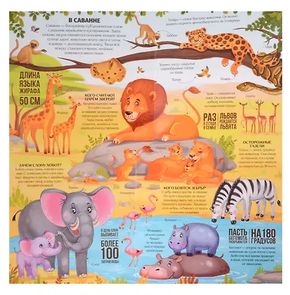 Животные : книжка-трансформер - фото 3