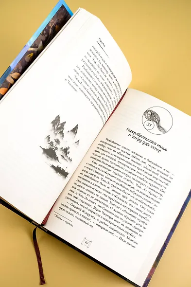 Крылья золотой птицы. Муцянь - фото 12