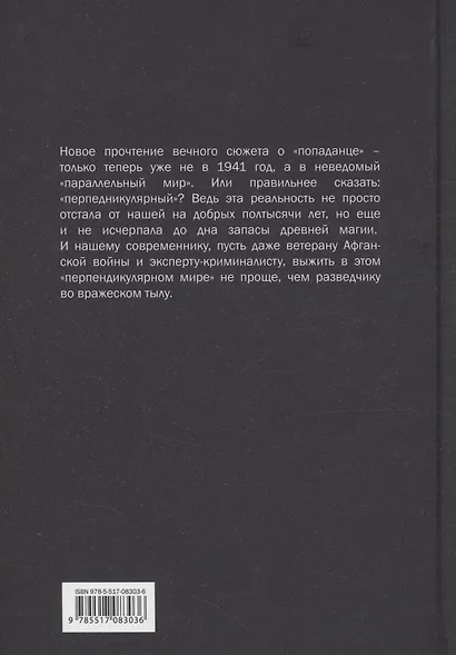 Рыцарь в серой шинели. Книга 1 - фото 2