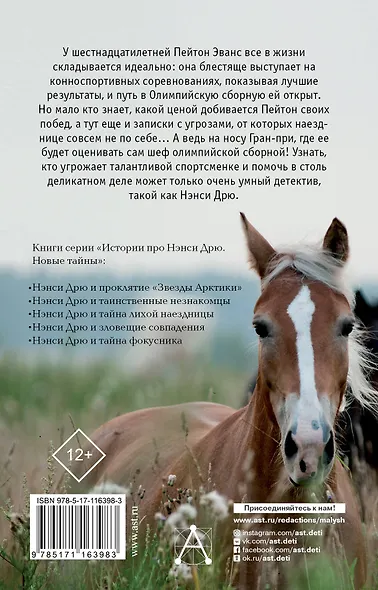 НЭНСИ ДРЮ и тайна лихой наездницы - фото 2