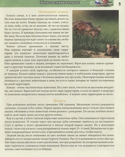 Кошки. Энциклопедия - фото 6