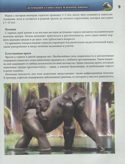 Детеныши животных. Энциклопедия - фото 3