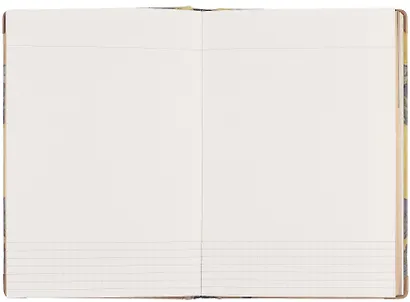 Книга для записей "Ван Гог. Ирисы" А5, твердая обложка - фото 7