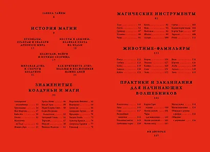 Ведьмы и волшебники. Книга знаний и защиты - фото 4