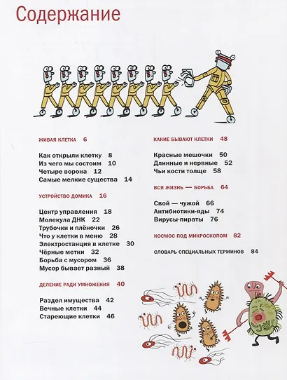 Живой дом - фото 2