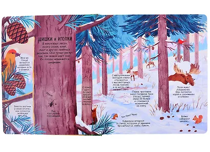 Секреты леса. Более 90 секретных створок - фото 3