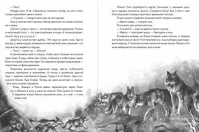 Волк по имени Странник - фото 5