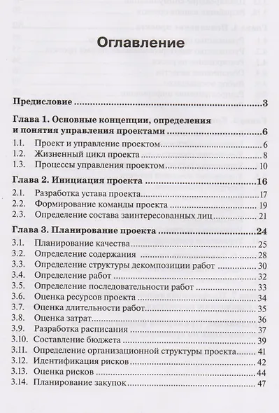 Руководство по управл. проектами на осн. стандарта ISO 21500 - фото 2