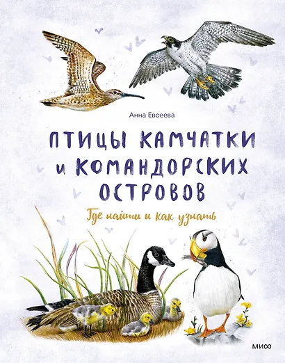 Птицы Камчатки и Командорских островов. Где найти и как узнать - фото 1