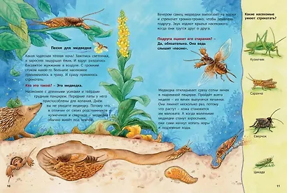 Кроты и другие подземные жители. Познавательные истории - фото 3