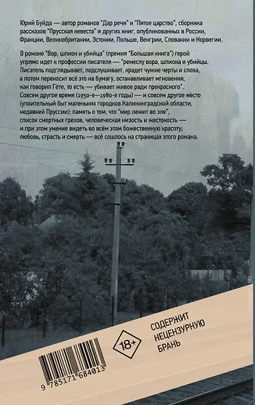 Вор, шпион и убийца - фото 2