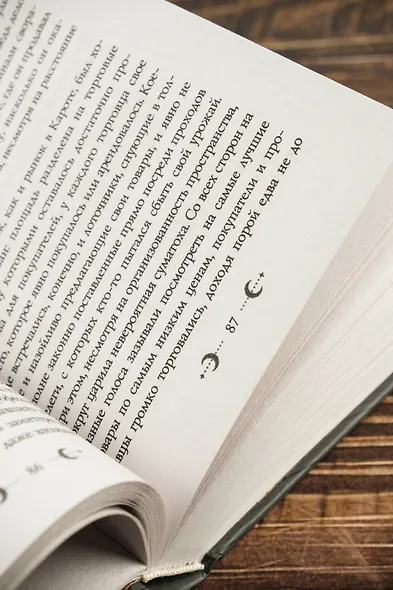 Белый сокол. Наследие Оманоске - фото 10