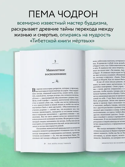 Как жить и как умирать - фото 5