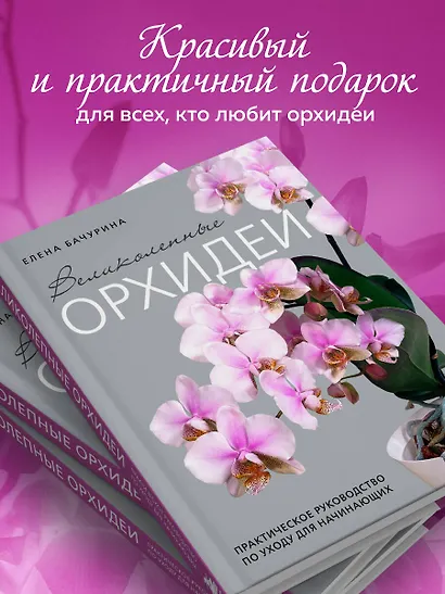 Великолепные орхидеи. Практичное руководство по уходу для начинающих - фото 5